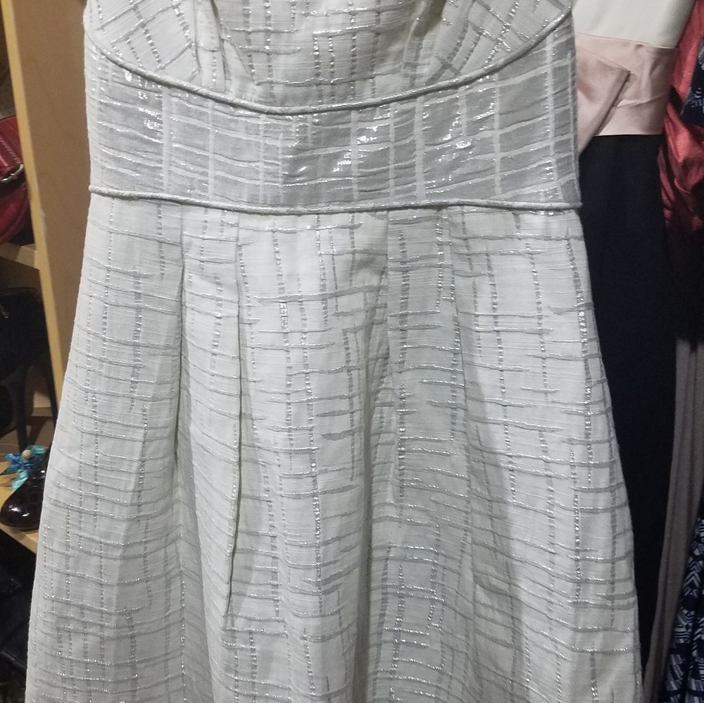 BCBG Party Dress